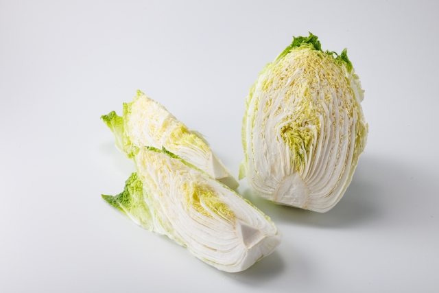 販売予定の商品